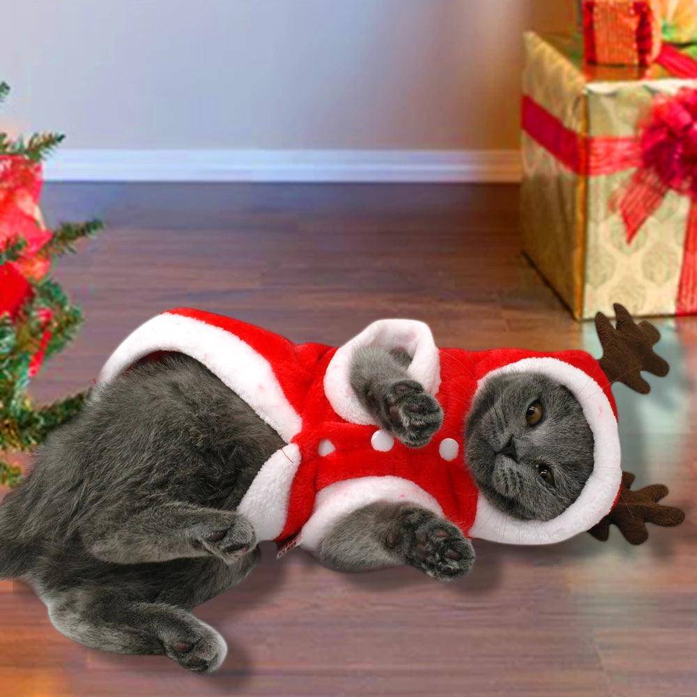 Festive Santa Claus Dog Costume For Small Dogs - Perfect For Christmas Celebrations!-0