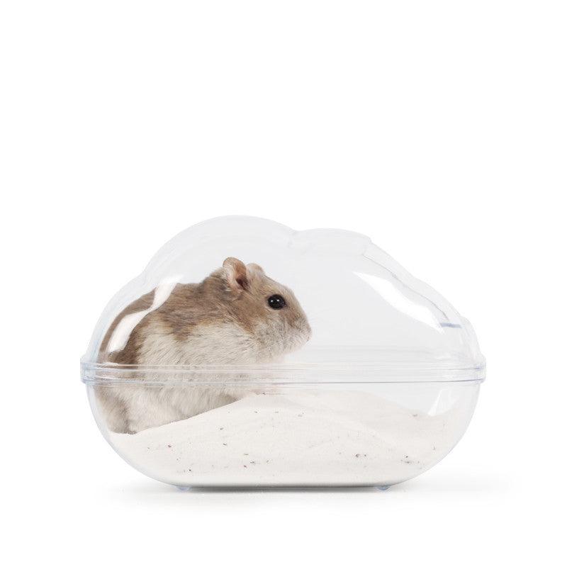 Cloudy Haven Hamster Spa And Playground-7