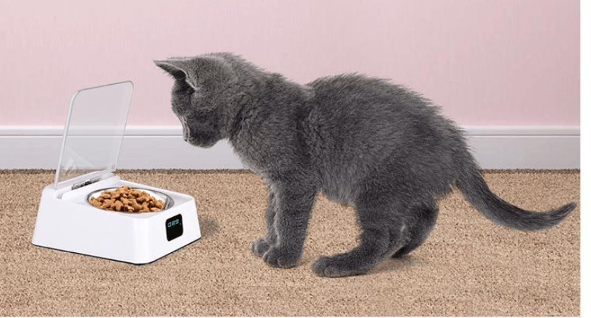 Smartfeed 5G: The Ultimate Automatic Pet Feeder